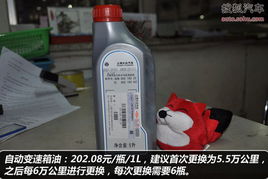 帕萨特领驭保养手册 5000公里小保362元