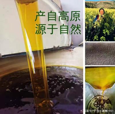 金色门源 北方最大的油菜花海与中国菜籽油之乡